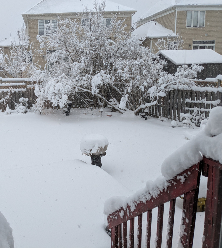 Snow in my home city